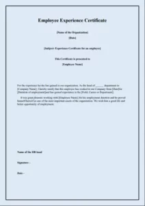 Employee Experience Certificate 6