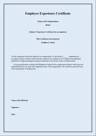 Employee Experience Certificate 6