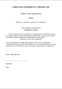 Experience Letter Format for Employee Sample 3