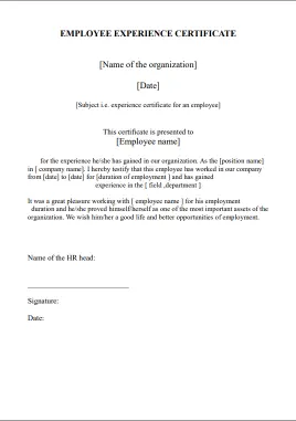 Experience Letter Format for Employee Sample 3