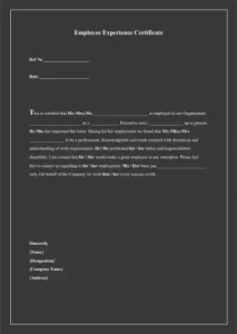 company work experience letter 10
