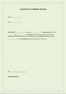 work experience letter format 8