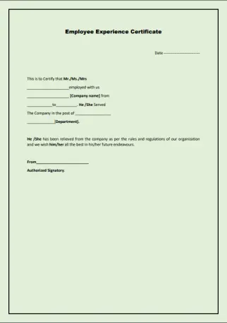 work experience template 7