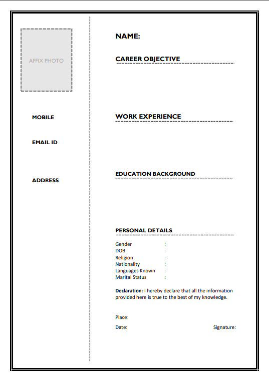 Bio Data for Job Interview 9