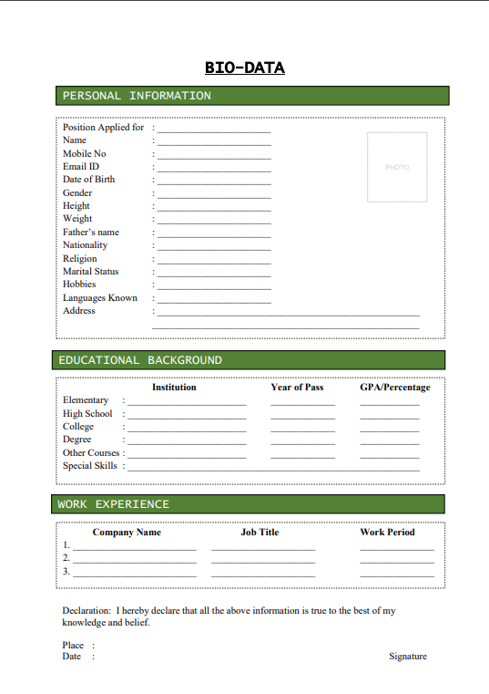 Biodata Template Free Download 5