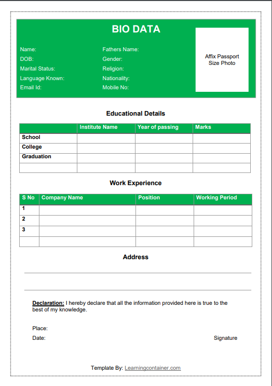 Simple Biodata Format for Job 2